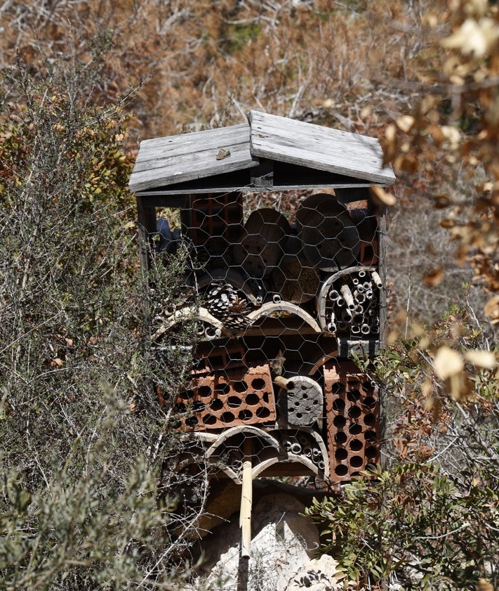 Imagen secundaria 2 - Una gaviota cerca del túnel, senderistas al inicio del recorrido y un hotel para insectos.