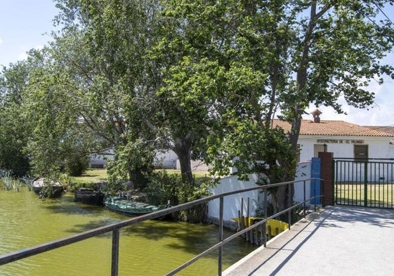 El centro acuícola de El Palmar se encuentra en pleno centro del Parque Natural de la Albufera.