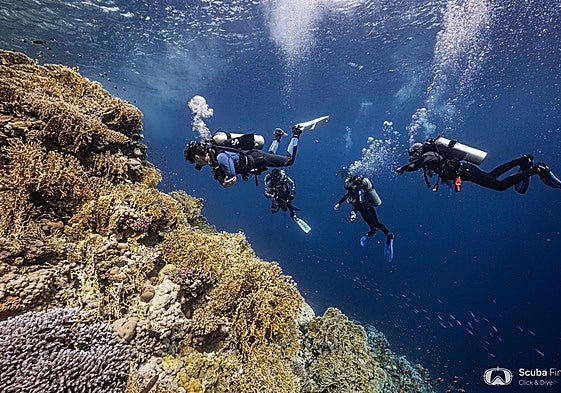 Un grupo, durante una inmersión.