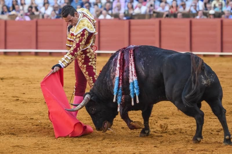 Cartel de toros de la Feria de Hogueras 2024: ¿Quién torea en Alicante?