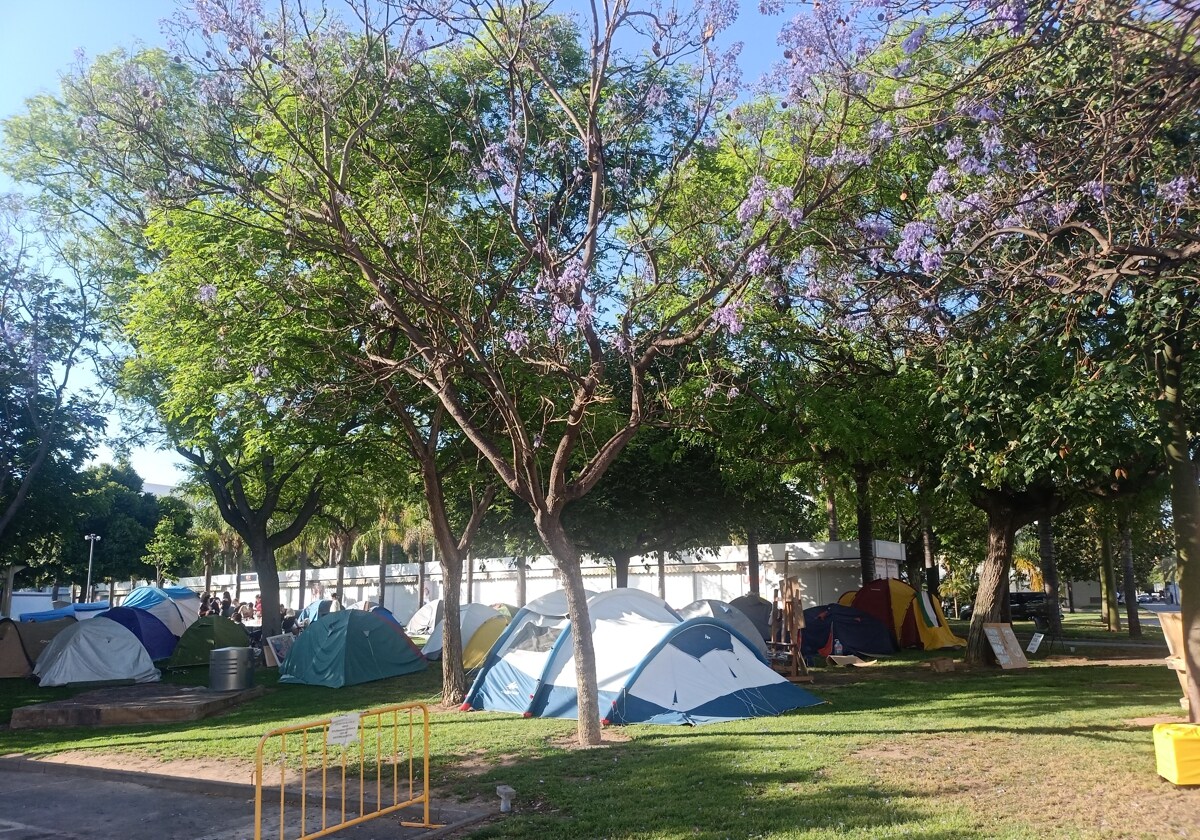 La UPV deja en manos de la justicia el futuro de la ocupación por Palestina tras la cancelación del Foro de Empleo