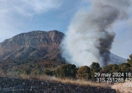 La columna de humo en la falda del Montgó.