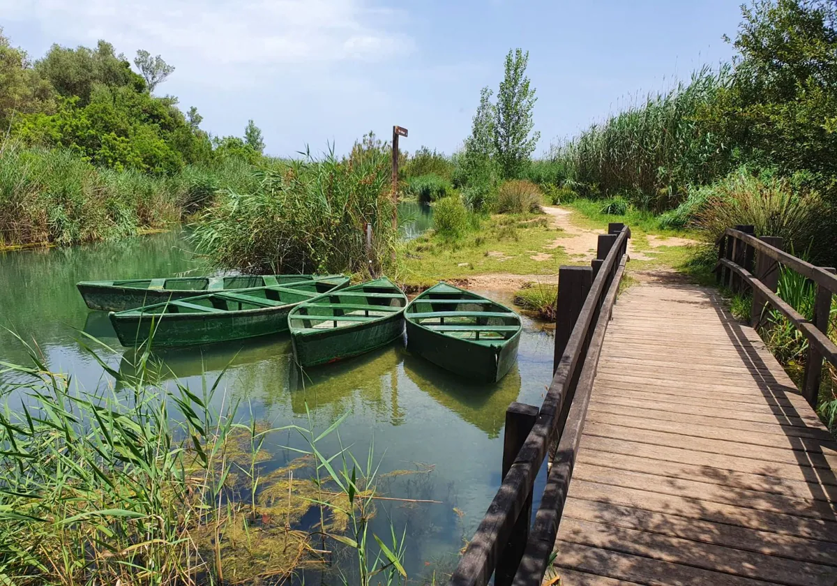 Pego repite las experiencias en barca para conocer el entorno y la fauna del marjal