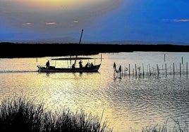 Una barca navega en l'Albufera.