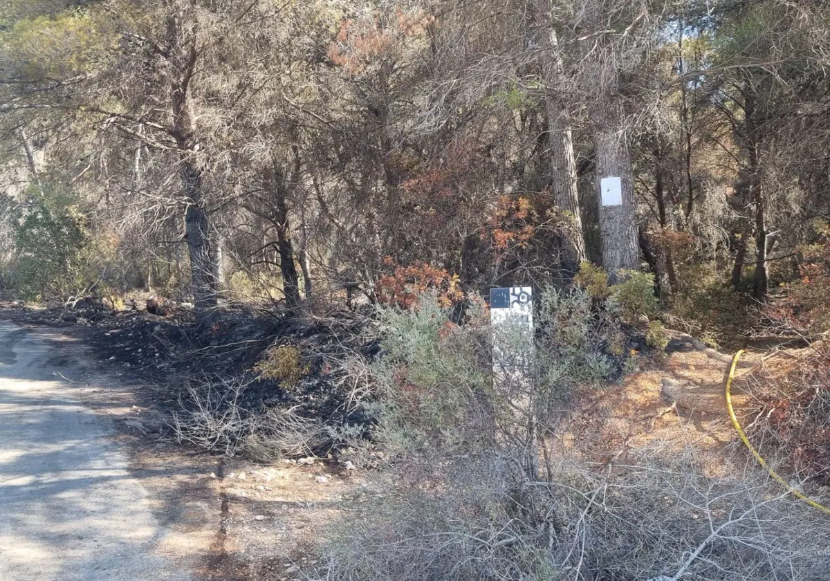 El incendio en la falda del Montgó calcina 5.000 metros cuadrados en Xàbia