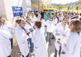 Numerosos médicos a las puertas de un hospital.