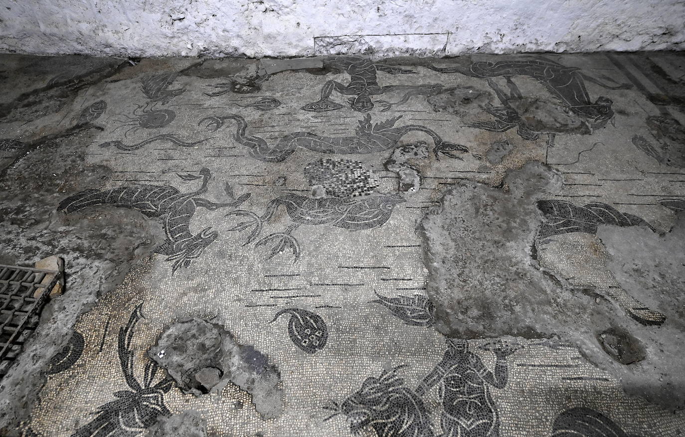 El Palacio Farnese descubre sus mosaicos subterráneos de la Antigua Roma