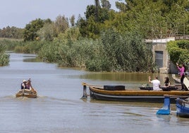 Barcas recorren el parque natural de la Albufera.