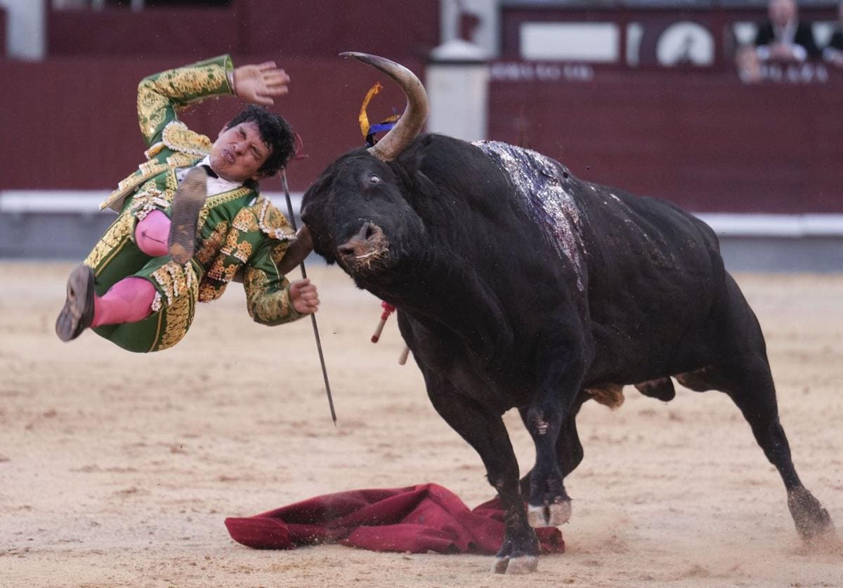 Feria de San Isidro 2024: cogida Isaac Fonseca | La escalofriante cornada  de Isaac Fonseca en la Feria de San Isidro | Las Provincias