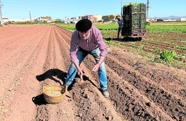 Objetivo: salvar el 'Cacau del Collaret'