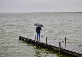 Día de lluvias en la Albufera de Valencia.