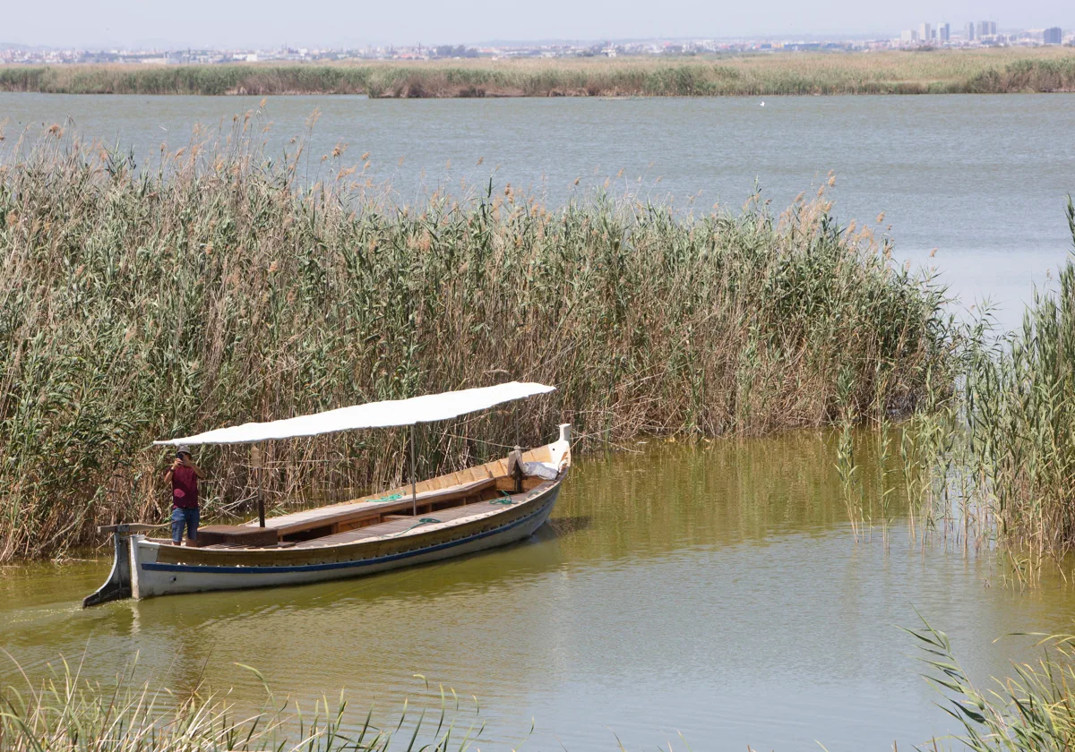 El pacto por la Albufera ya suma el apoyo de medio centenar de entidades