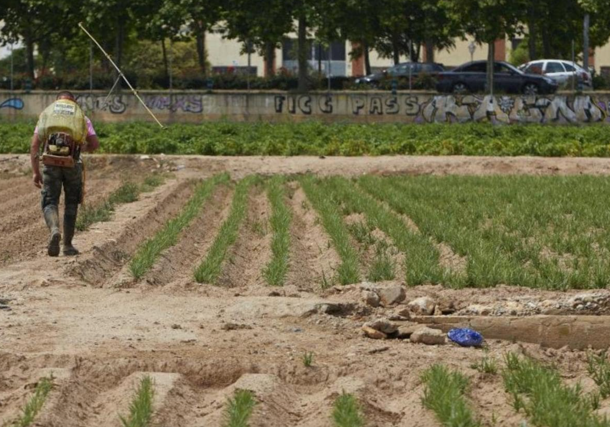 La reforma de los subsidios rebaja de 35 a 10 las peonadas necesarias para cobrar la renta agraria