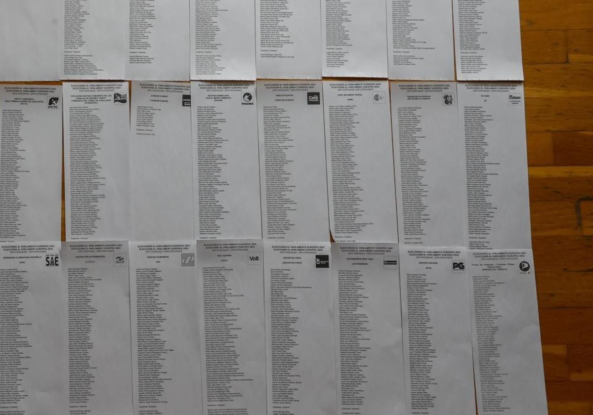 Lista electoral de Alvise: estos son los 61 candidatos de Se acabó la fiesta para las Europeas