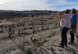 La sequía empieza a notarse en bajadas de niveles en pozos