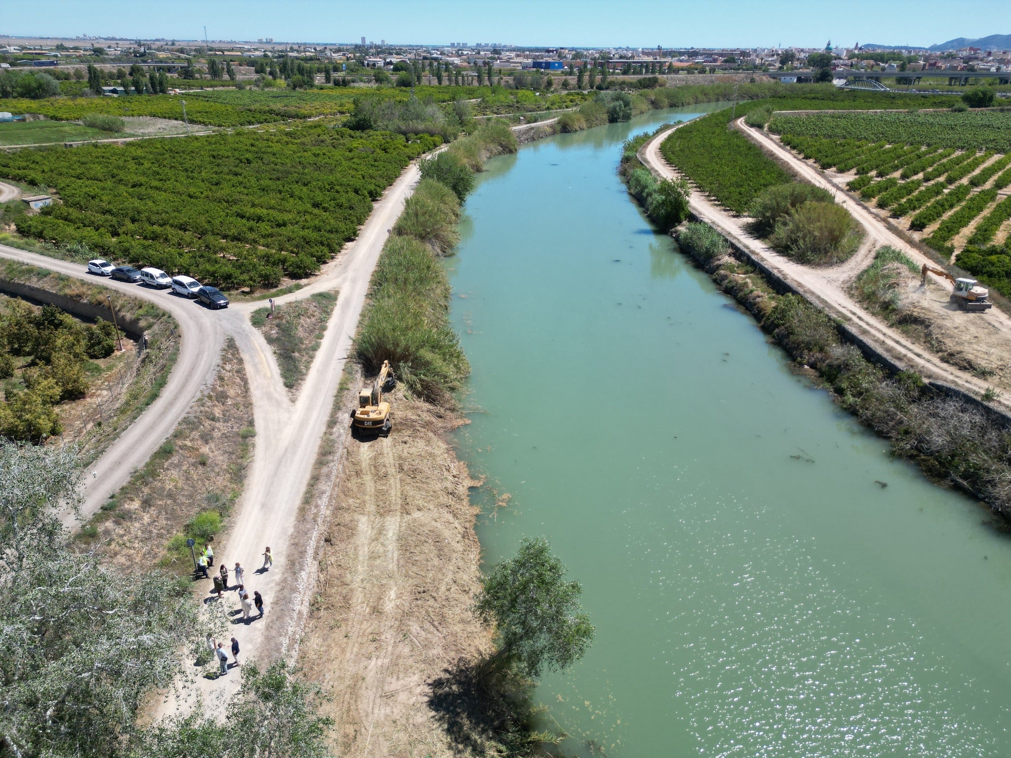 Eliminación de cañas en la Ribera Baixa del Júcar.