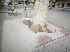 Adoquines tapados con cemento en la avenida Blasco Ibáñez.