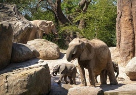 BIOPARC Valencia