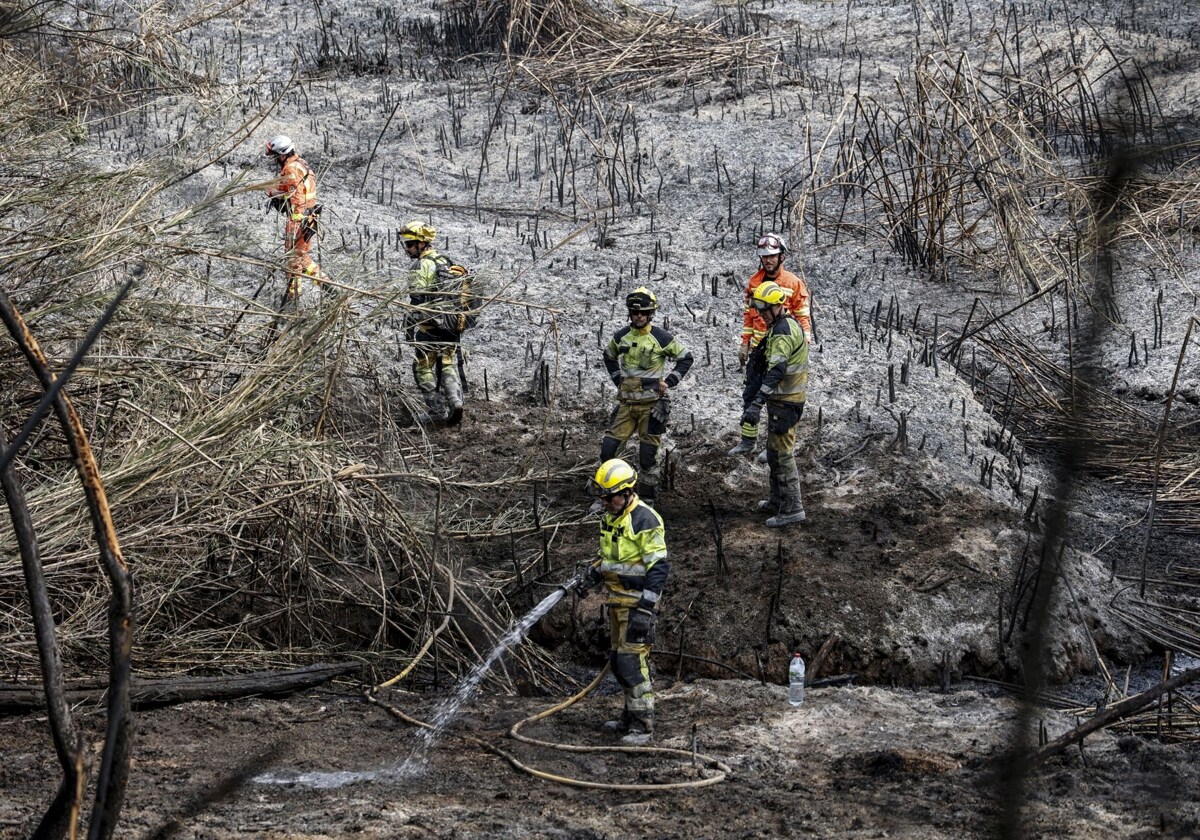 El Consell aumenta el dispositivo contra incendios y valora el cierre de áreas recreativas ante un verano «complicado»