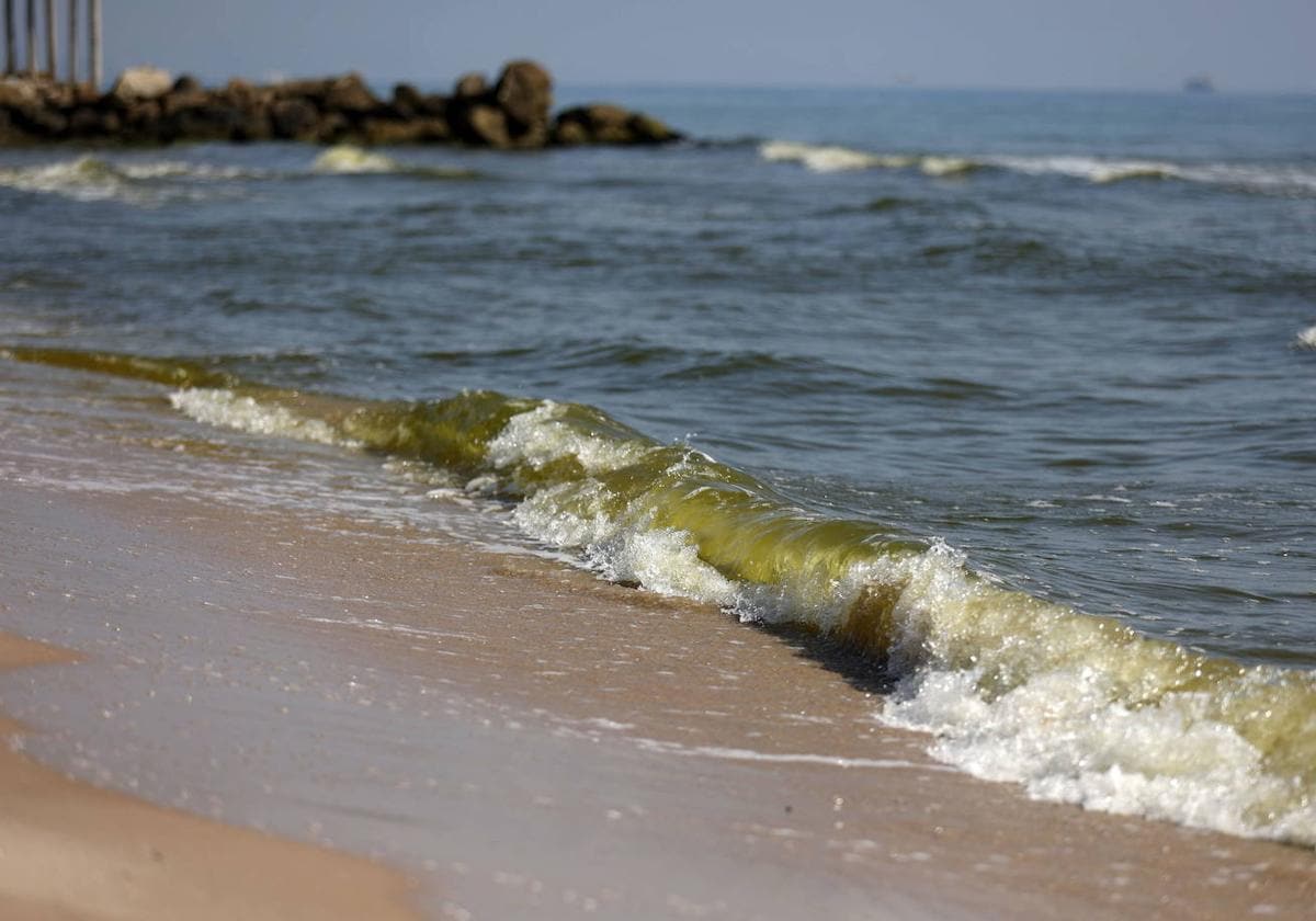 Las playas de la Comunitat ‘penalizadas’ con bandera negra este 2024