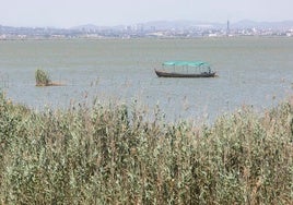 Vista de la Albufera.