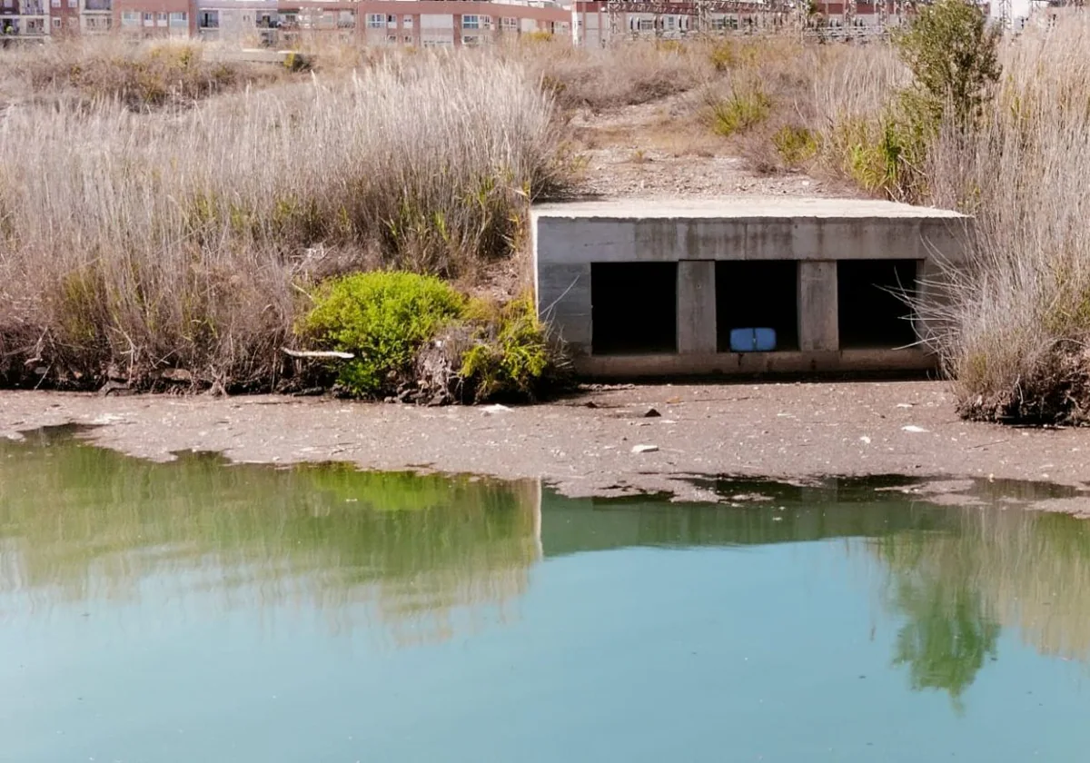 Los vecinos de Nazaret denuncian «un nuevo episodio de contaminación del cauce histórico del Turia»