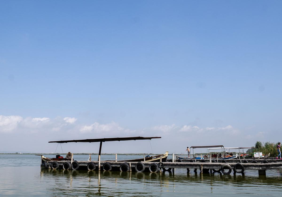 El sentir de la calle con la Albufera