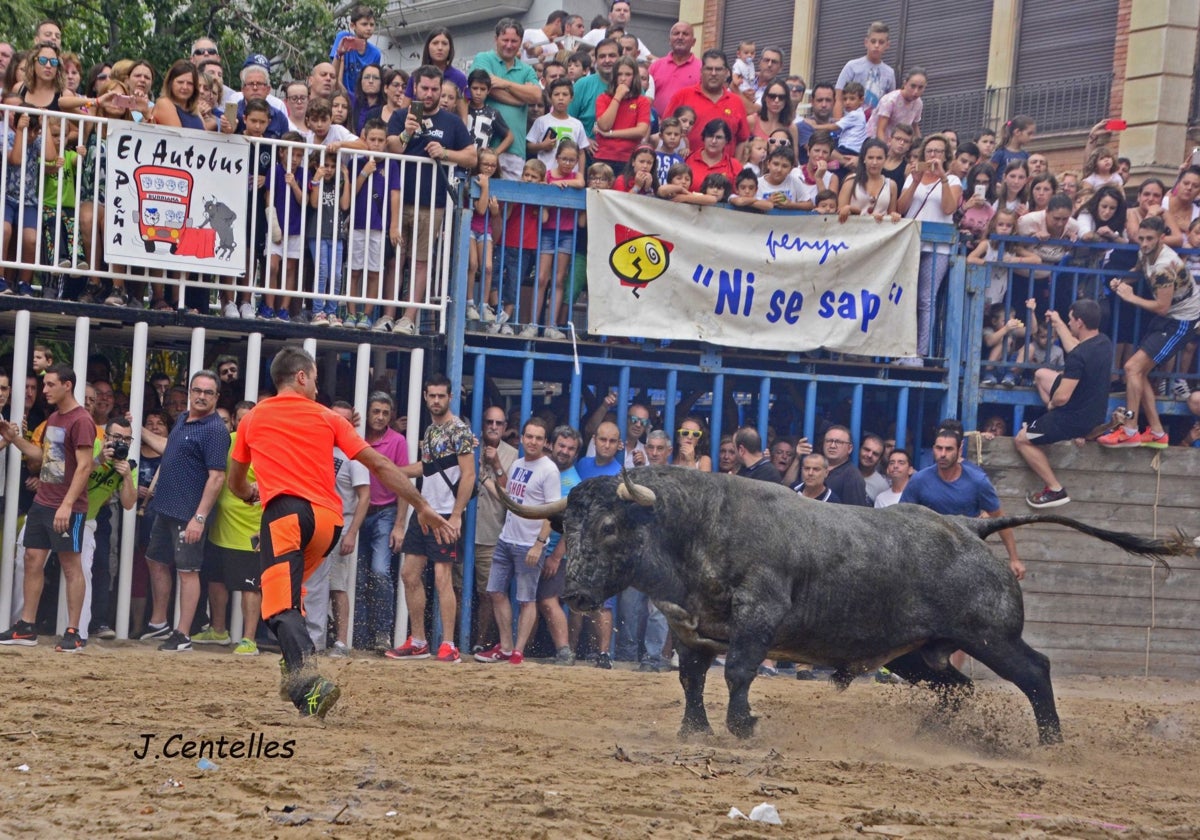 El público abarrota los festejos taurinos.