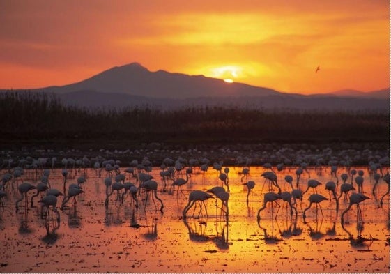 La foto ganadora del concurso y del público.