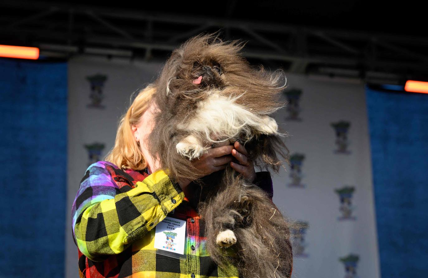 El pekinés Wild Thang, vencedor del concurso