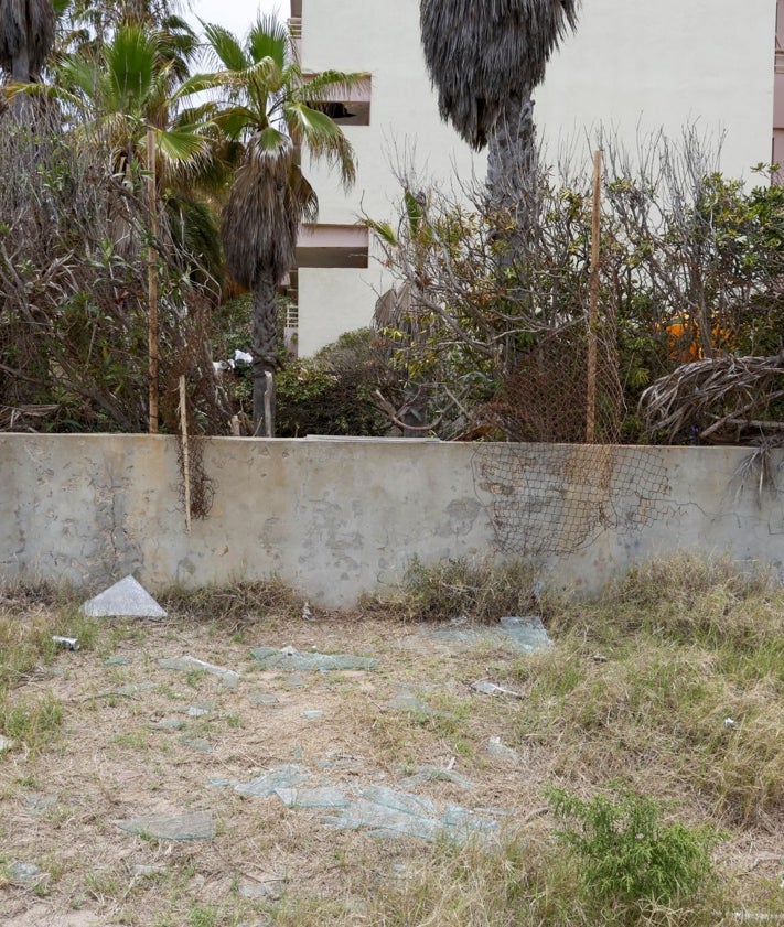 Imagen secundaria 2 - Mobiliario por el suelo, valla rota cubierta con ramas y cristales rotos.