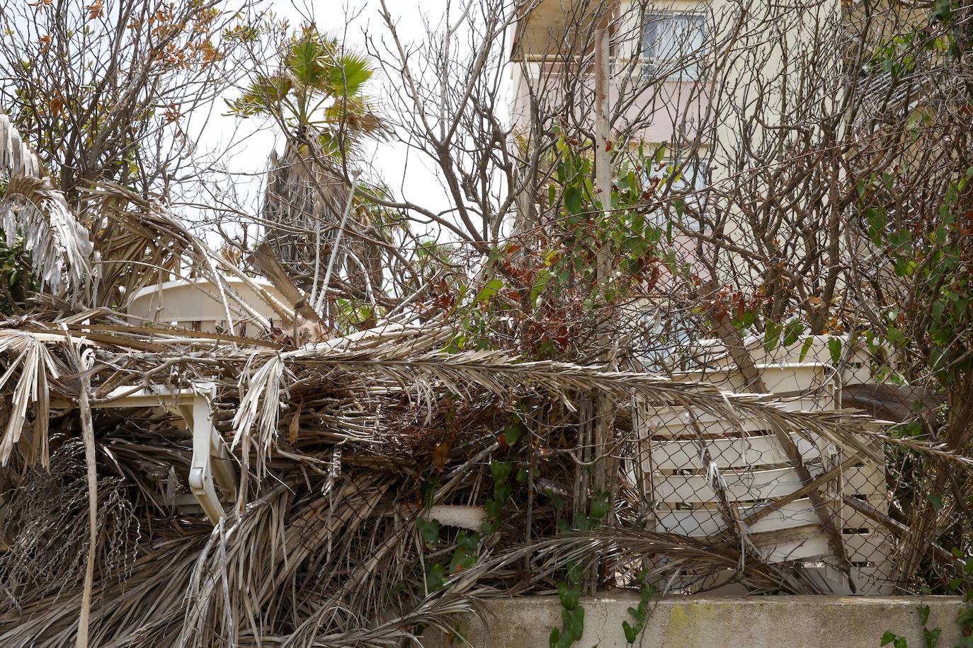 Degradación en el Sidi Saler