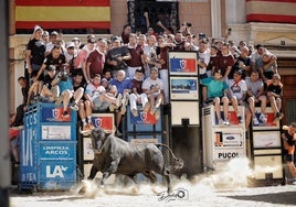 Espectacular la salida del cajón de Bailón, número 61.