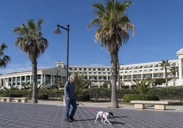 Un transeúnte camina por el paseo marítimo, con el hotel Las Arenas al fondo.