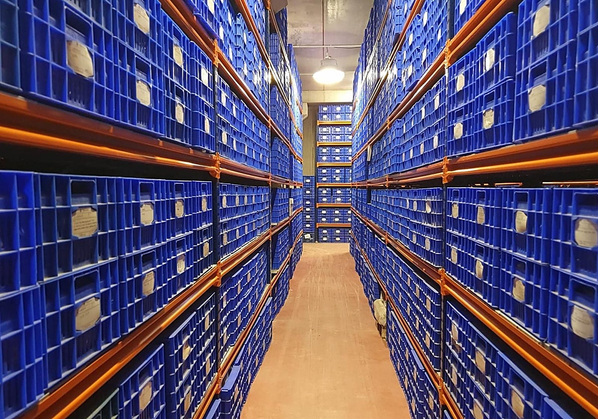 Imagen principal - Restos que custodia el servicio de Arqueoliogía. 