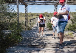 Voluntarios de Cruz Roja, registrando incidencias y una pasarela que precisa mantenimiento en la mallada de Quarter, en la Devesa.