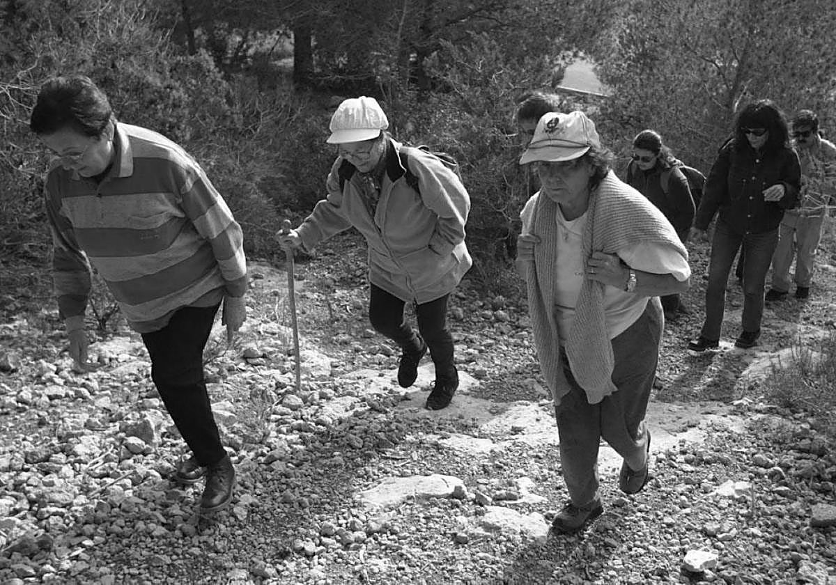 Una oportunidad de desarrollo rural sostenible