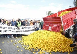 La crisis del limón obliga a reconvertir miles de hectáreas