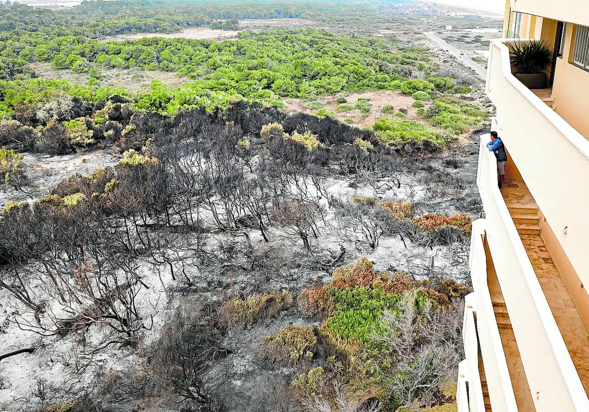 El sospechoso de los fuegos del Saler esgrime ante la juez que ha participado en campañas de reforestación