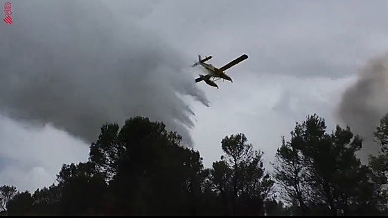 Extinguido el incendio forestal en el barranco de Palmeral de Estivella