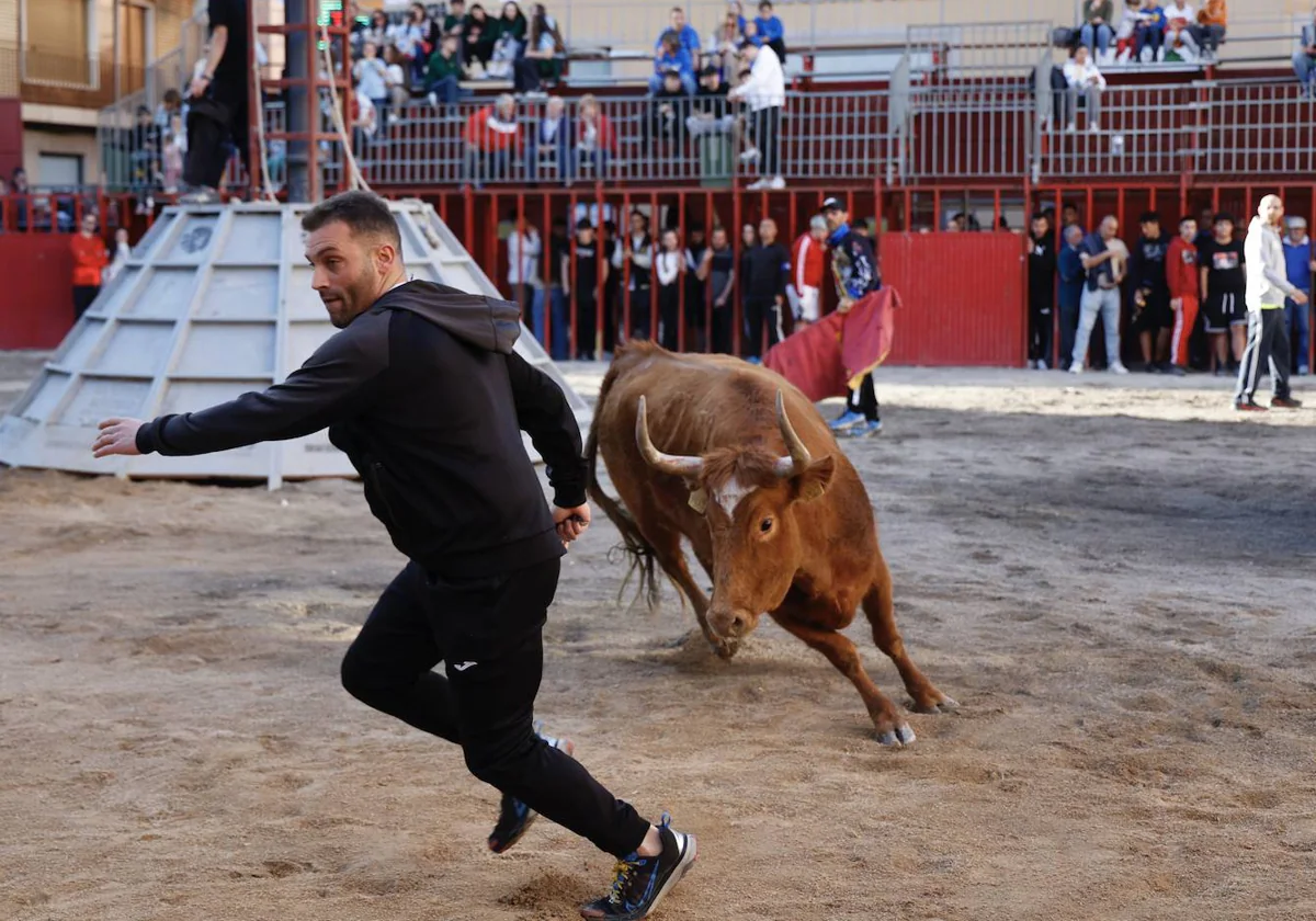 Las peñas de bous al carrer piden mejorar la seguridad en los festejos de la Comunitat