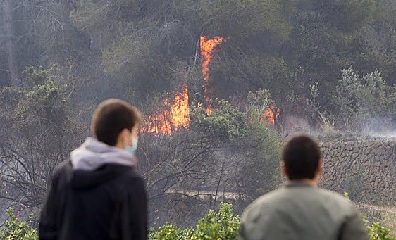 La Diputación destina 1,5 millones para la regeneración forestal de las zonas afectadas por el incendio de Montitxelvo
