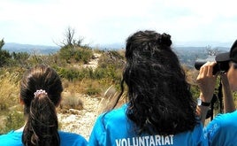 Jóvenes voluntarios de ediciones anteriores.