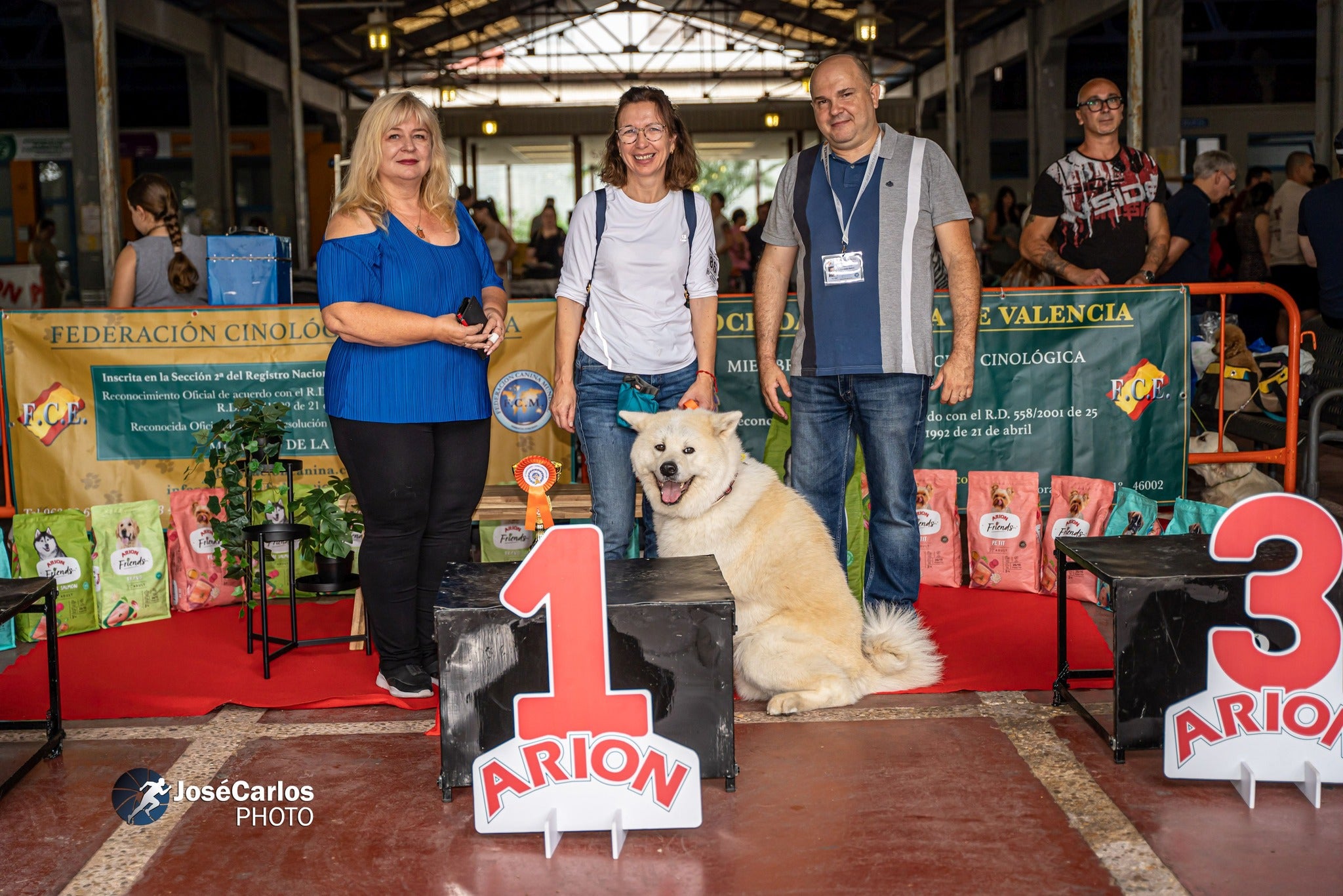 El perro ganador del concurso popular del año pasado.