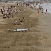 Las playas valencianas con mayor presencia de tiburones