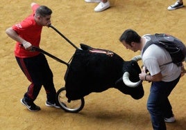 Encierro taurino infantil, en una imagen de archivo.