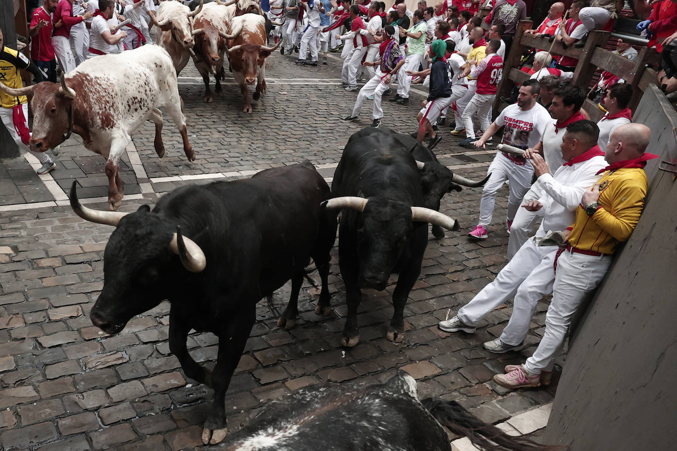 Las mejores imágenes del tercer encierro de San Fermín 2024