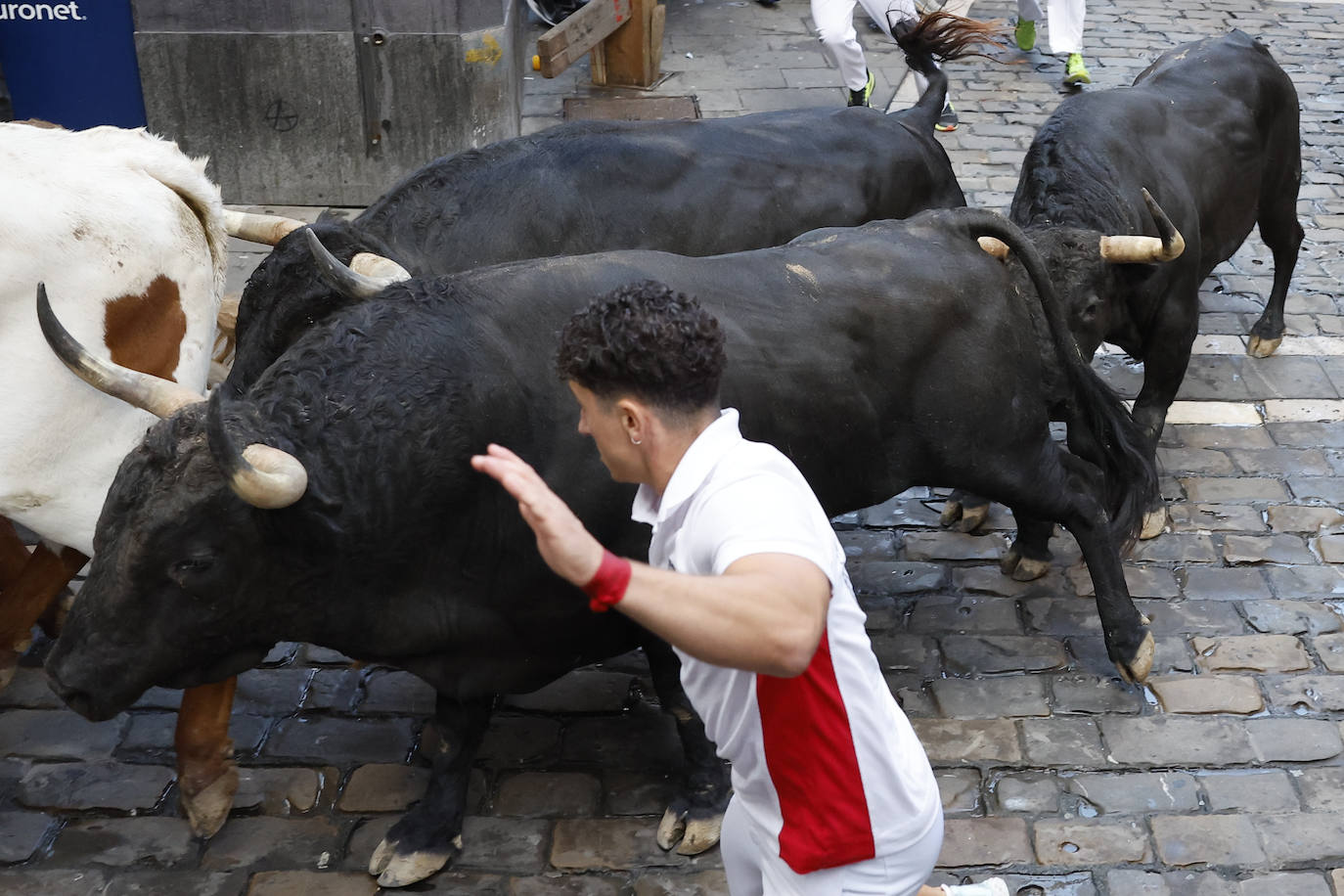 Las mejores imágenes del sexto encierro de San Fermín 2024