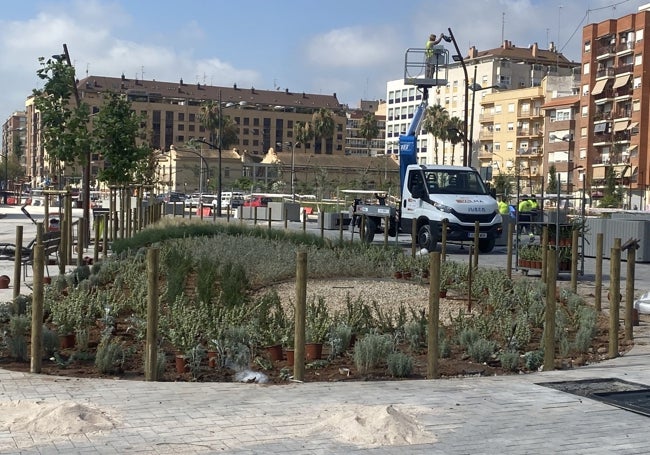 Espacio dedicado a plantas aromáticas.