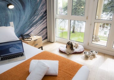 Revolución 'pet friendly' en los hoteles valencianos